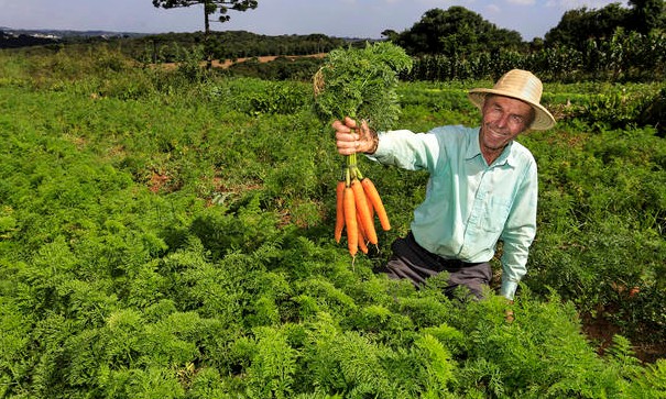 Projeto quer alterar definição de agricultor familiar; entenda