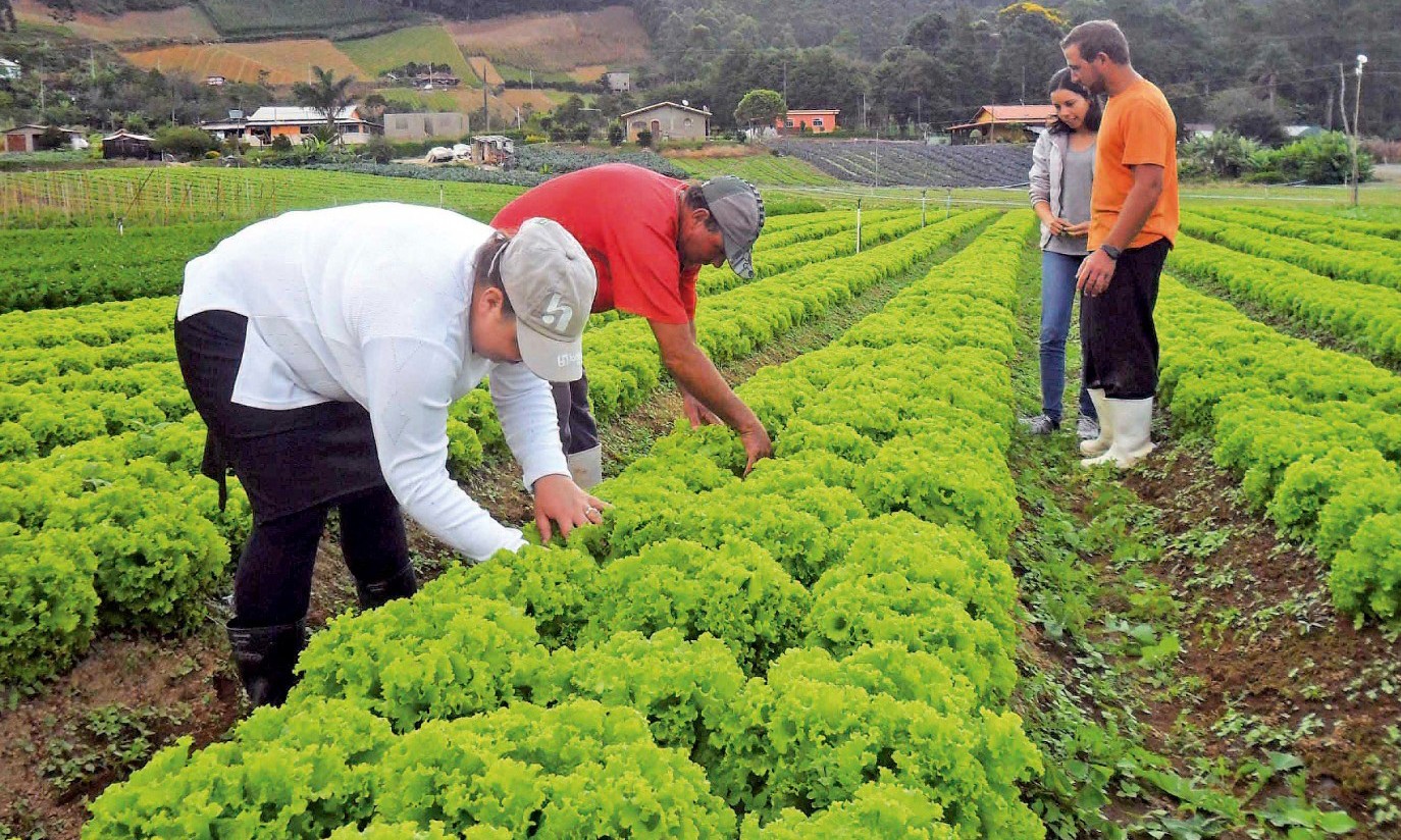 MP deve ampliar crédito para financiamento do agronegócio no país