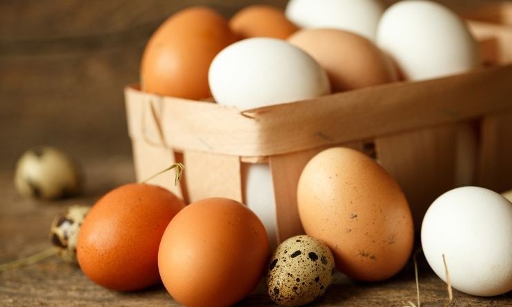 Por que ovos têm casca de cores diferentes? Novo estudo explica