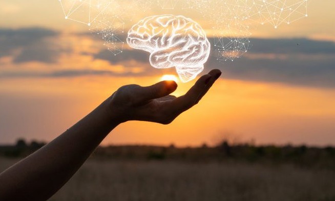 Inteligência emocional: escolha o caminho do sucesso na vida e trabalho