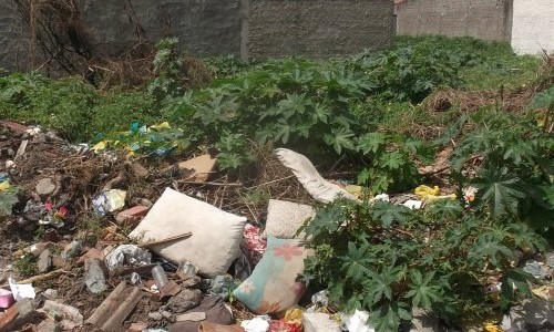 Mais de 220 proprietários de terrenos sujos em Franca são intimados a limpá-los