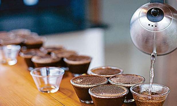 Premiação de qualidade dará US$ 10 milhões para os melhores cafés do Brasil