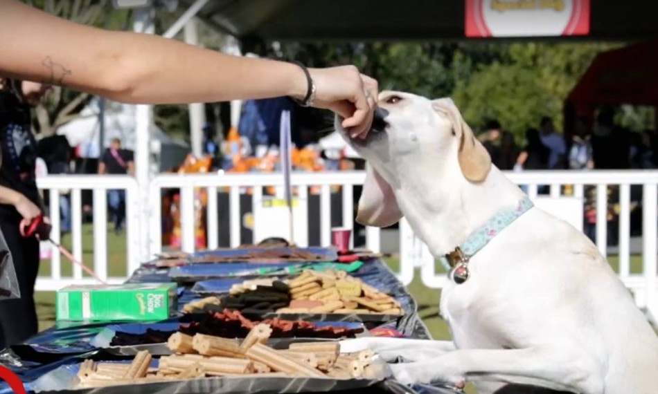 Sesi promove no sábado, 09, 1º Sesi PET, feira completa para o setor pet