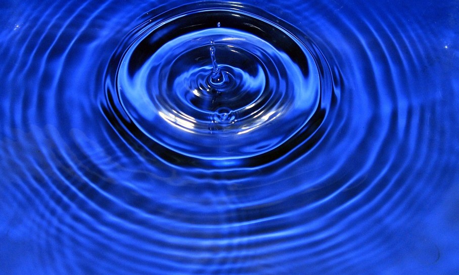 Energia, vibrações,campos morfogenéticos; palavras dizem como ver o mundo