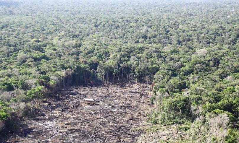 No Brasil: Desmatamento é responsável por 44% dos gases do efeito estufa
