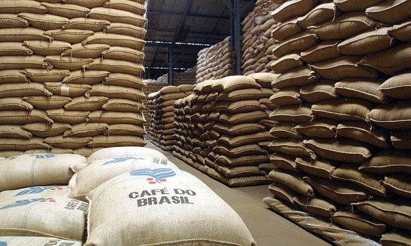 Brasil embarca um total de 3,148 milhões de sacas de café em outubro de 2019