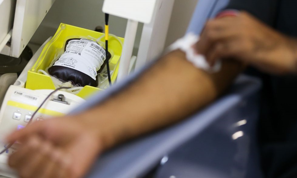 Só doação regular de sangue mantém estoques, diz Ministério da Saúde