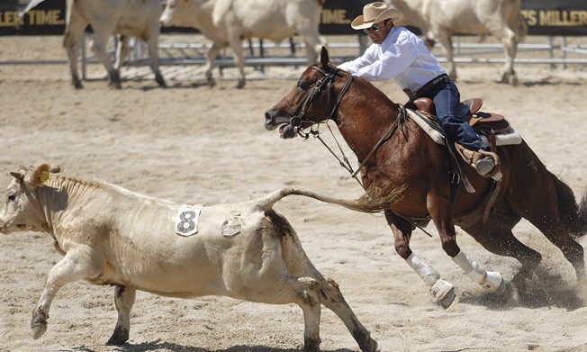 Fernando Costa sediará provas de Team Penning com prêmios até R$ 60 mil