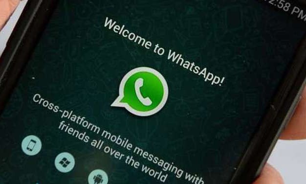 Para combater crimes, WhatsApp dá início à caça de grupos suspeitos