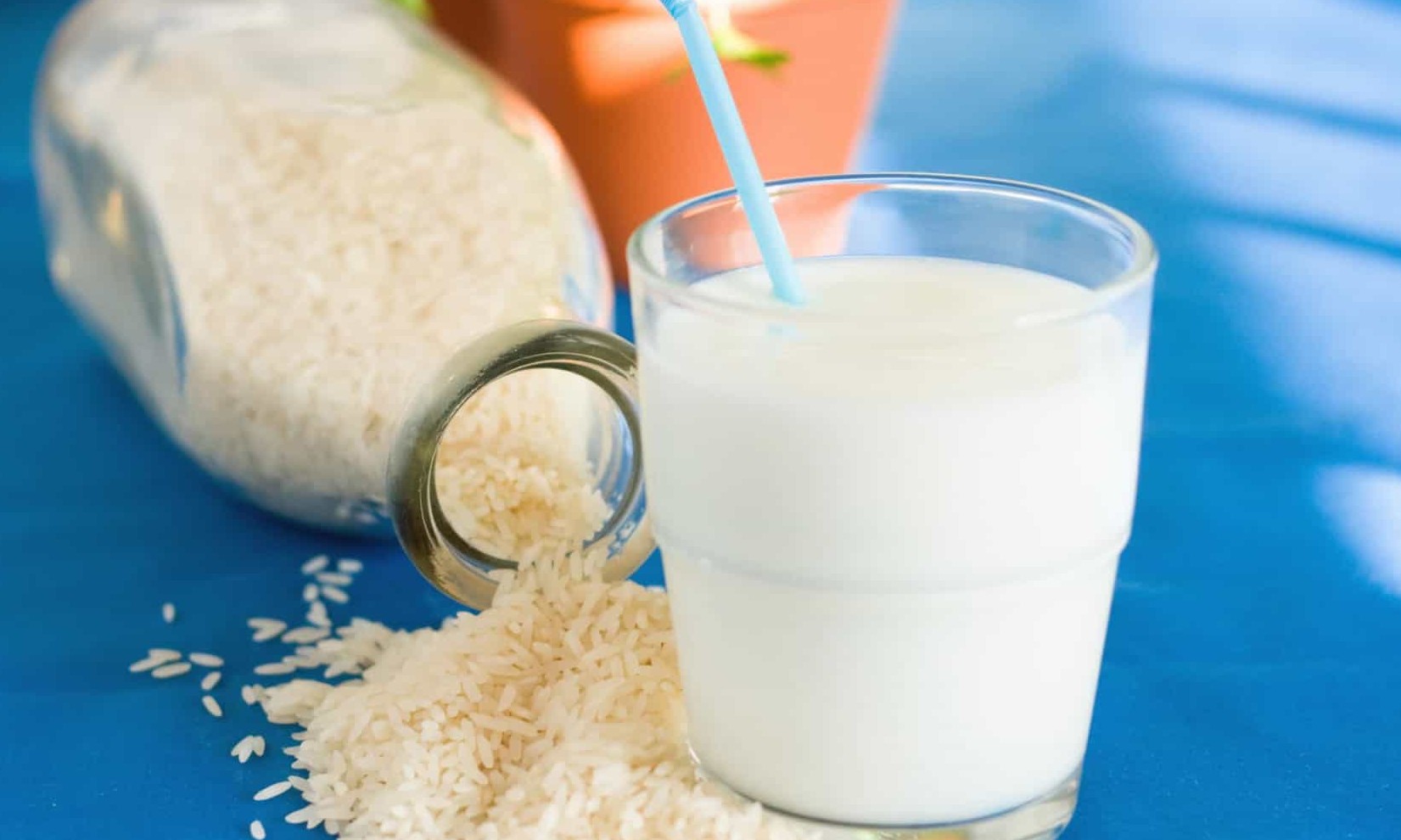 Bebida de arroz: vantagem e desvantagem em relação ao leite de vaca