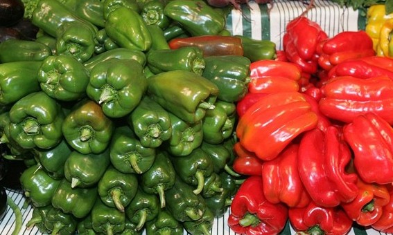 Maioria dos vegetais é segura para consumo; 8% têm irregularidades