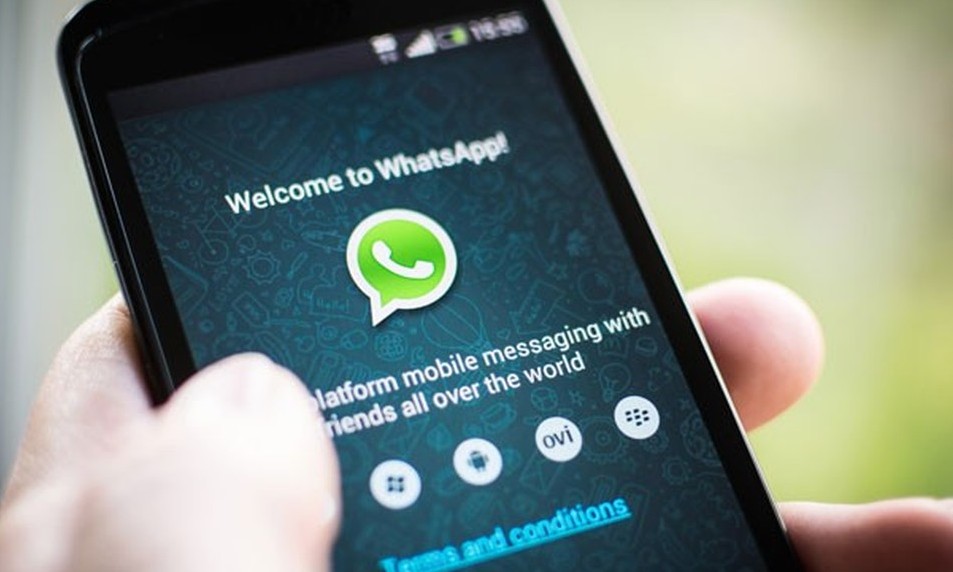 WhatsApp para de funcionar no Windows Phone, Android e iOS antigos ainda em 2019
