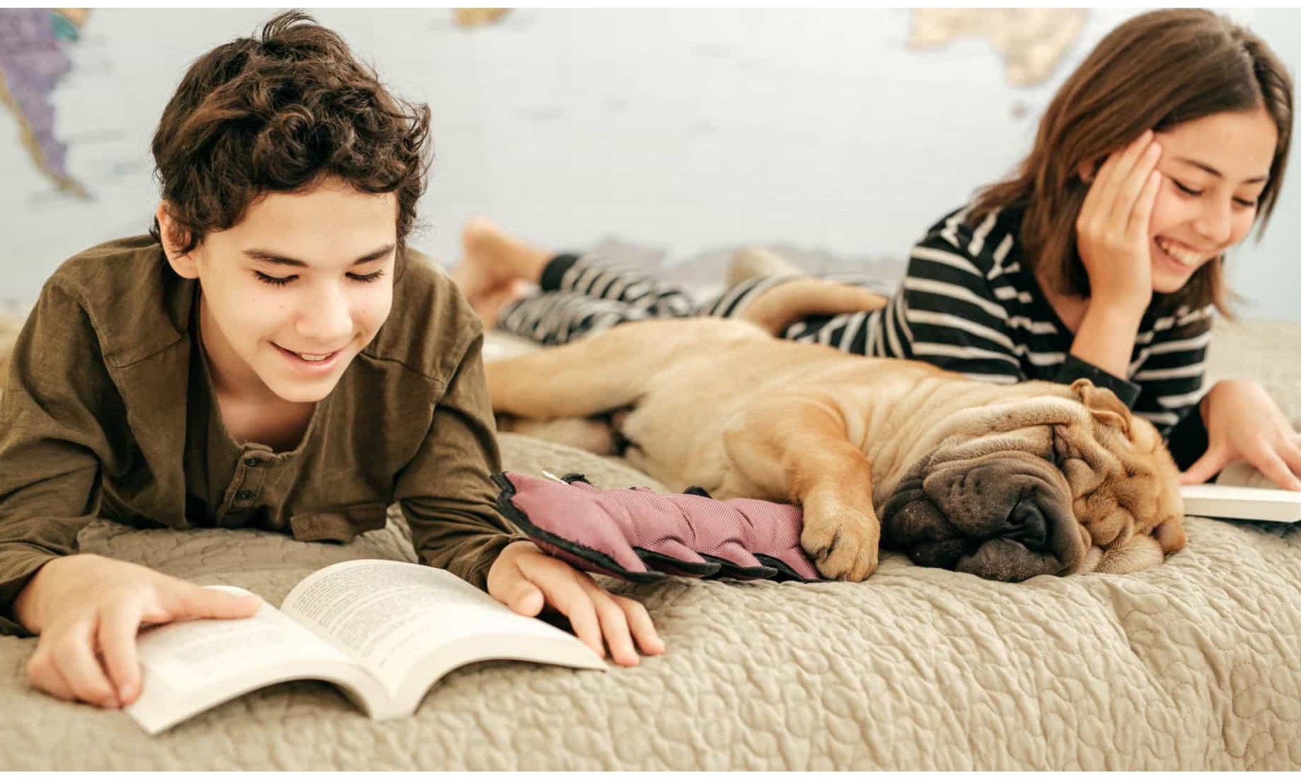 Cães motivam crianças a lerem mais, mostra estudo realizado no Canadá