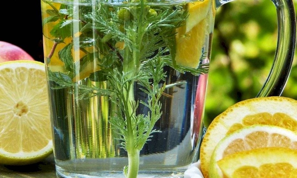 Estas quatro plantas são mais eficazes para queimar gordura e emagrecer