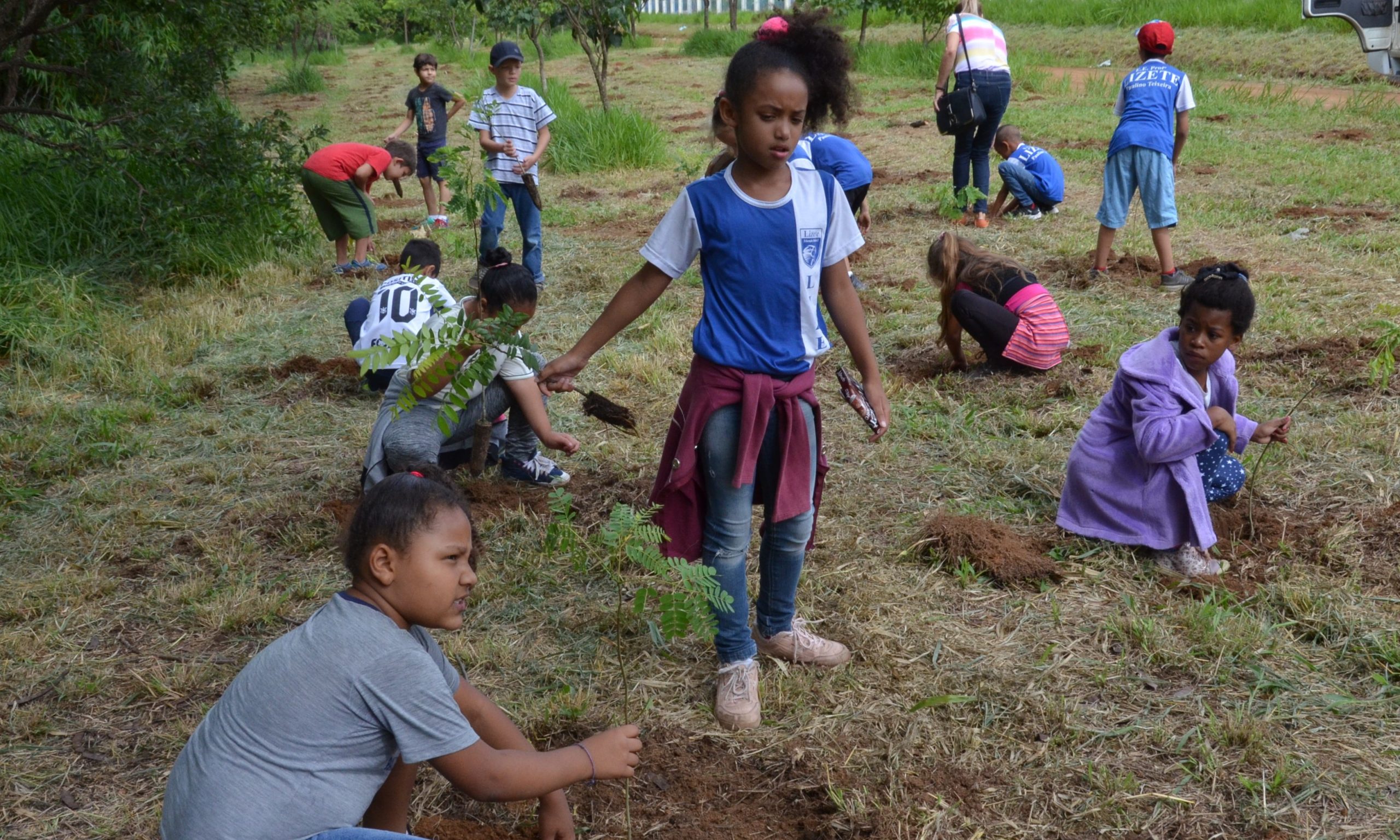 1.200 alunos fazem plantio de mudas pelo Projeto Alfabetização Ambiental