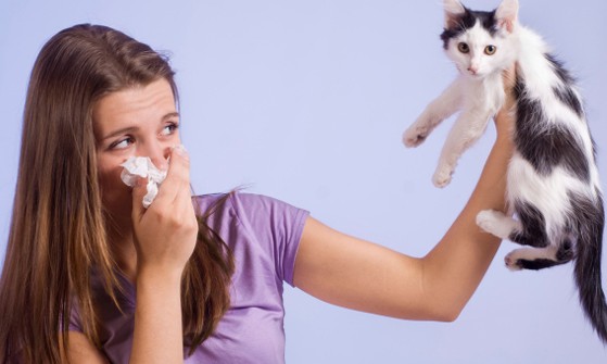 Alergia a animais pode passar com o tempo? Especialista explica