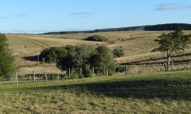 Agricultura: Em 40 anos, a área cresceu 33%, mas a produção subiu 368%