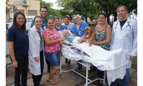 Cão visita idoso internado em hospital, encontro emociona e saúde melhora