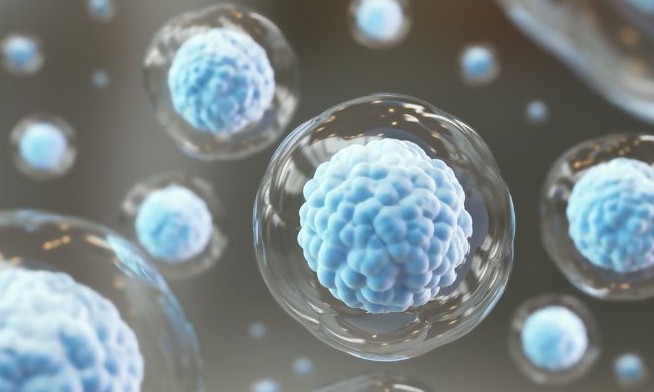 Sistema imunológico: veja como reforçá-lo de um jeito simples e evitar doenças