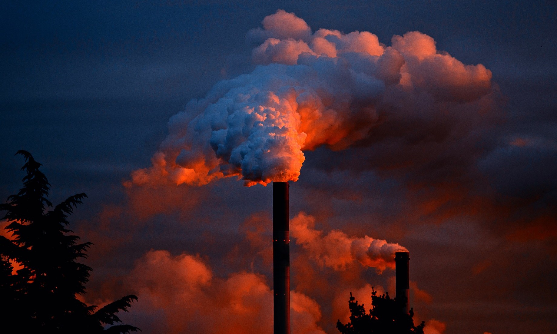 Agronegócio brasileiro absorve metade do CO2 emitido pela Noruega