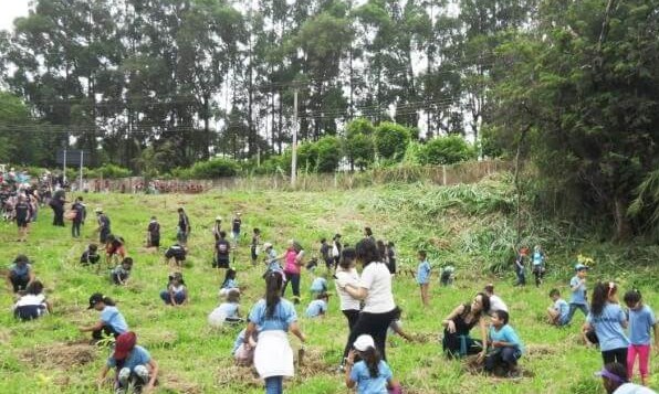Parque dos Trabalhadores recebe mudas plantadas por mais de 600 alunos