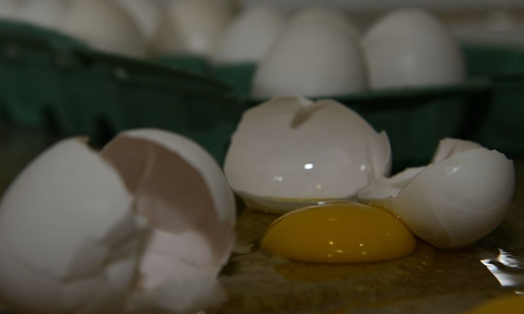 Produção de ovos de galinha bate novo recorde no país, diz IBGE