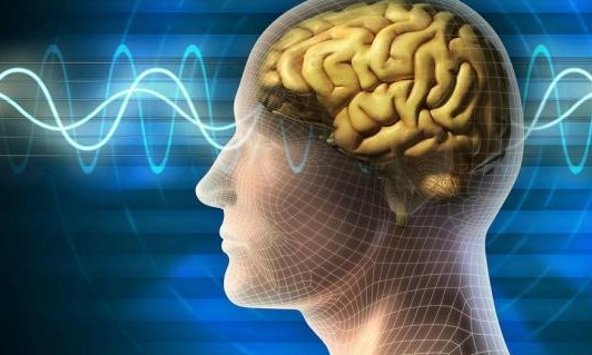 Saiba quais são os alimentos que podem estar matando seus neurônios
