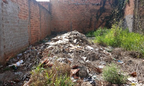 Notificação para limpeza de terrenos em Franca é publicada no Diário Oficial
