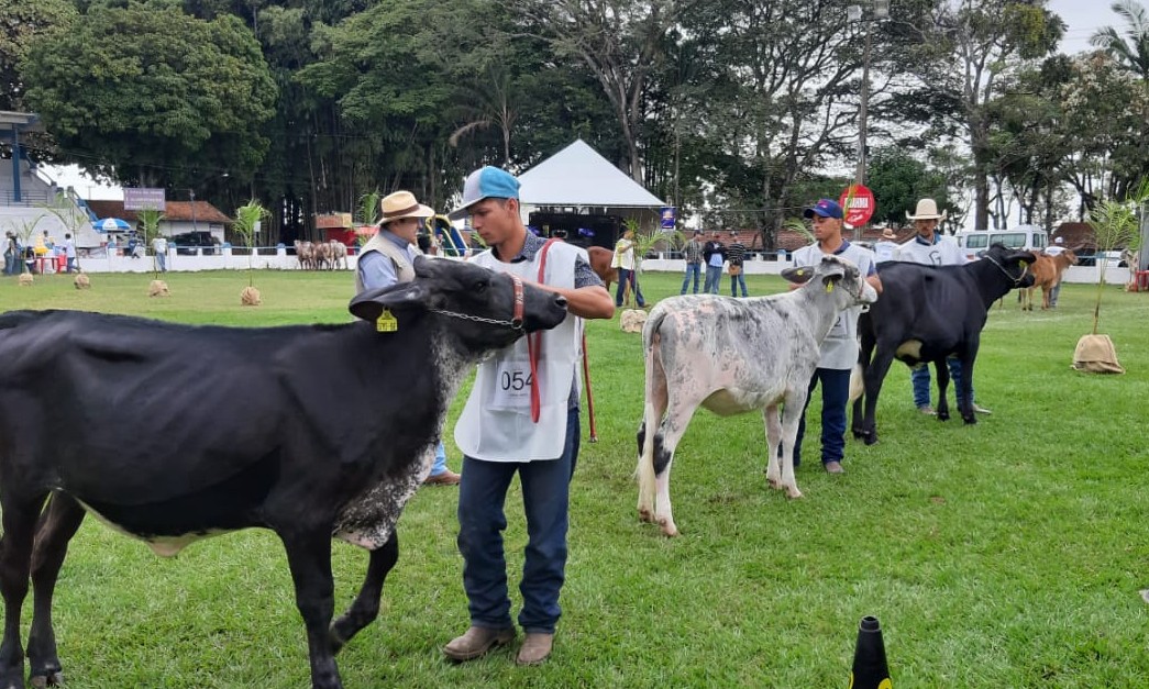 Expoagro 2020: prazo para empresas apresentarem propostas vence em 11/02