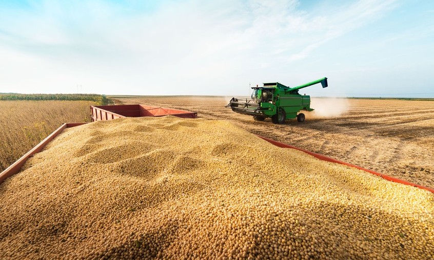 Safra 2020 pode crescer em até 3,6% e atingir novo recorde, diz levantamento