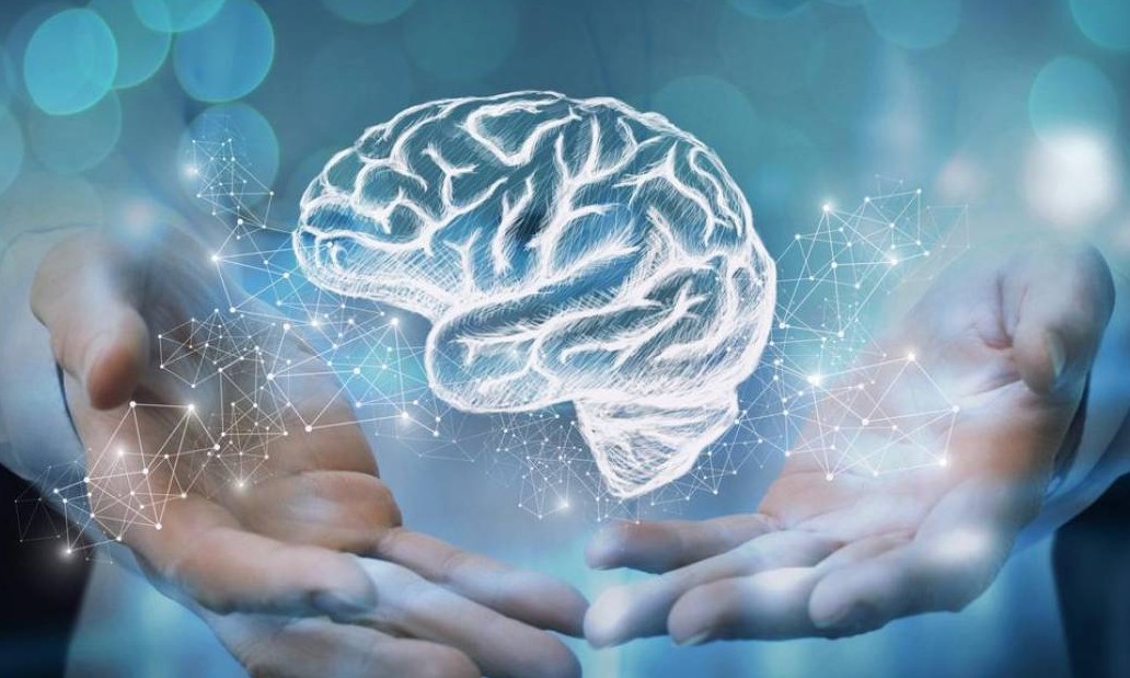 Neurocientistas criam jogos grátis que ajudam a treinar o cérebro