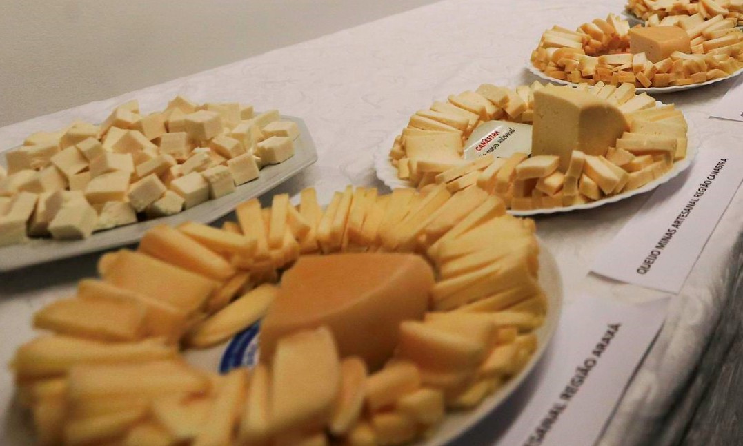 Queijo da Canastra: regras para venda do produto artesanal estão definidas