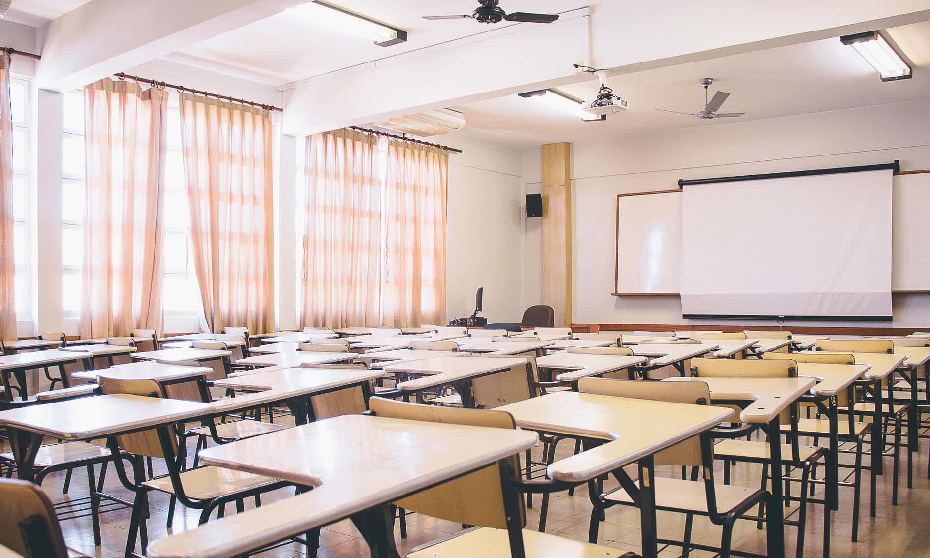 Estudantes de São Paulo podem conferir pedido de transferência na internet