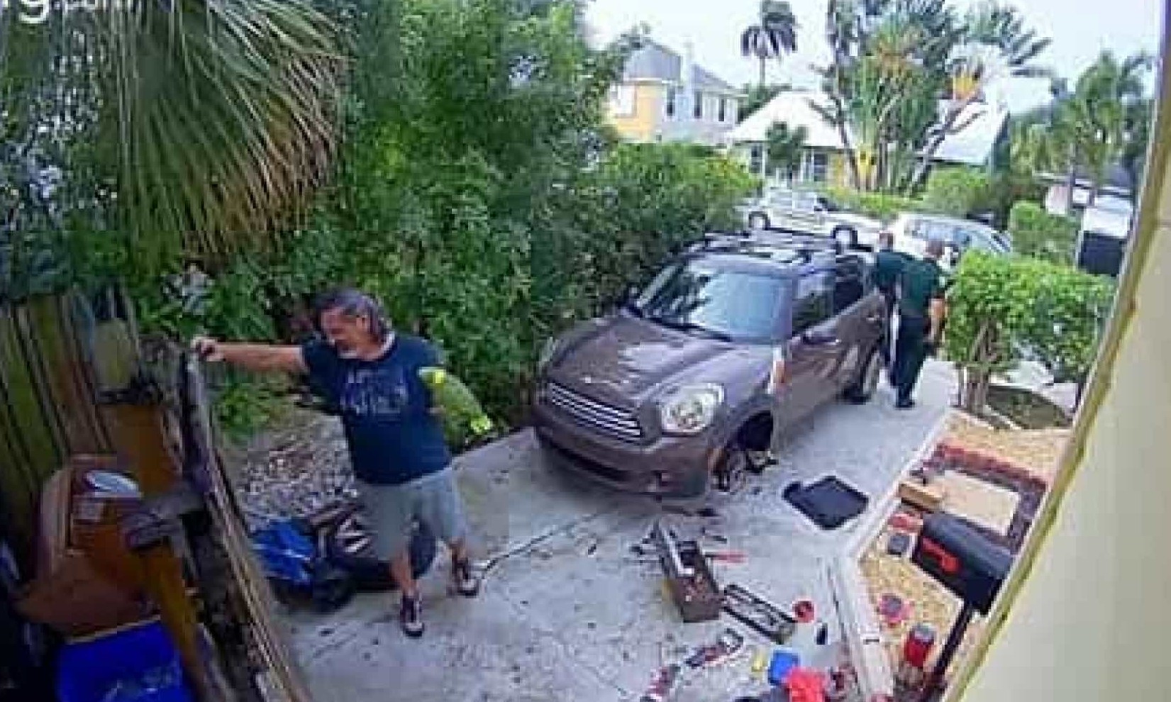 Vizinha chama a polícia ao confundir papagaio com mulher a gritar socorro