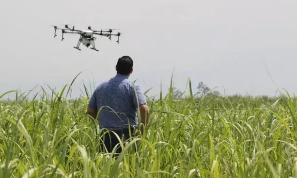 Agronegócio atrai jovens para trabalho no campo e prepara futuras gerações