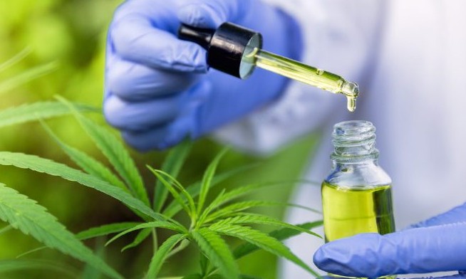 Justiça autoriza outra família a plantar maconha em casa para tratar filho