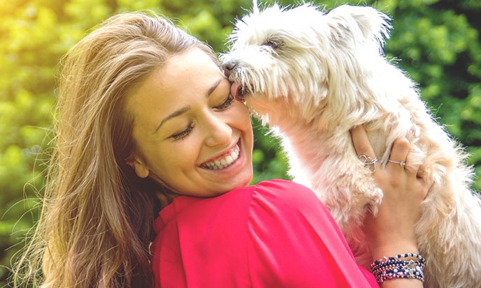A missão espiritual dos cães em nossas vidas para nos mostrar o amor sem medida