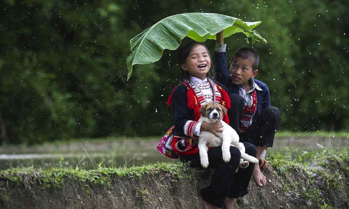 Dez fotos de amizade para fazer você se sentir quente por dentro e se emocionar