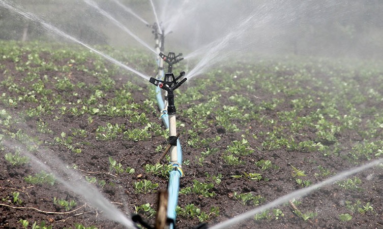 Estabelecimentos com uso de agricultura irrigada crescem 50% em 11 anos