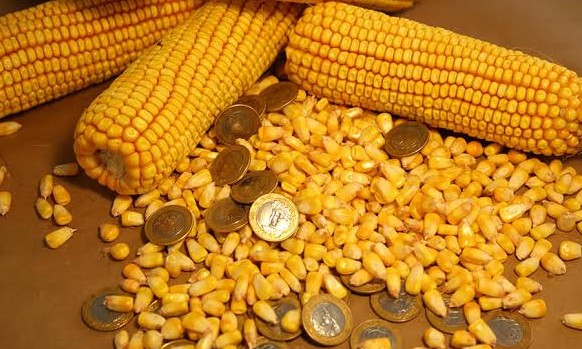 Milho fica 12,4% mais caro e consumidores sentem reflexo na mesa na região