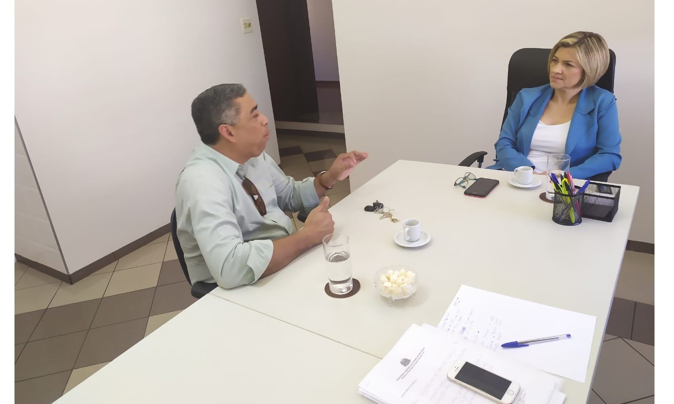 Deputada Graciela pede campanha de prevenção contra Desafio da Rasteira