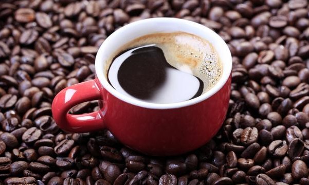 Mais sabor? Brasileiro cria café gourmet vegano com técnica à base de aloe vera