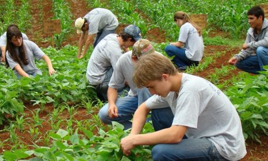 Colégio Agrícola de Franca seleciona profissionais: Saiba quais áreas e salários