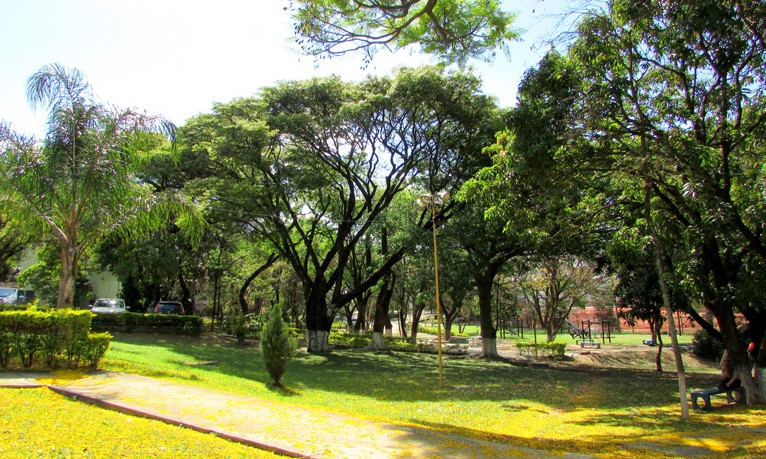 Franca é a 46ª cidade em ações sustentáveis, aponta governo de São Paulo