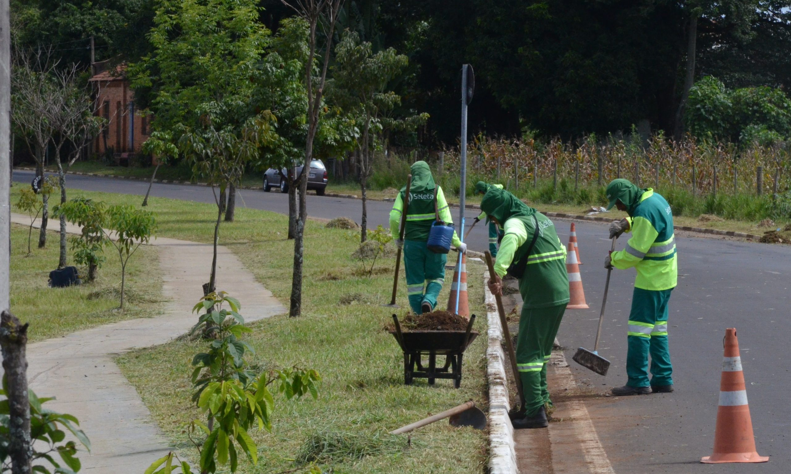 Poda de jardins, praças e canteiros de Franca é intensificada após estiagem