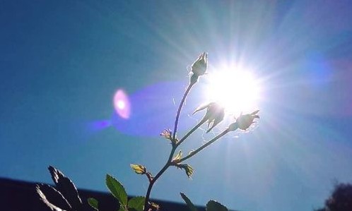 Segunda-feira, 09, promete muito sol e calor em Franca: tempo com a ‘cara do verão’