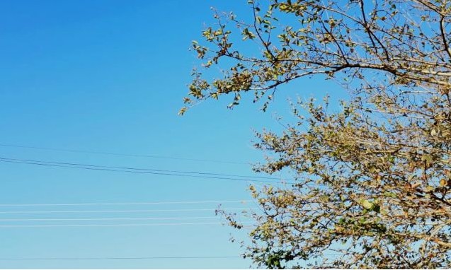 Chuvas dão trégua em Franca e quarta-feira, 11, deve ser bem ensolarada