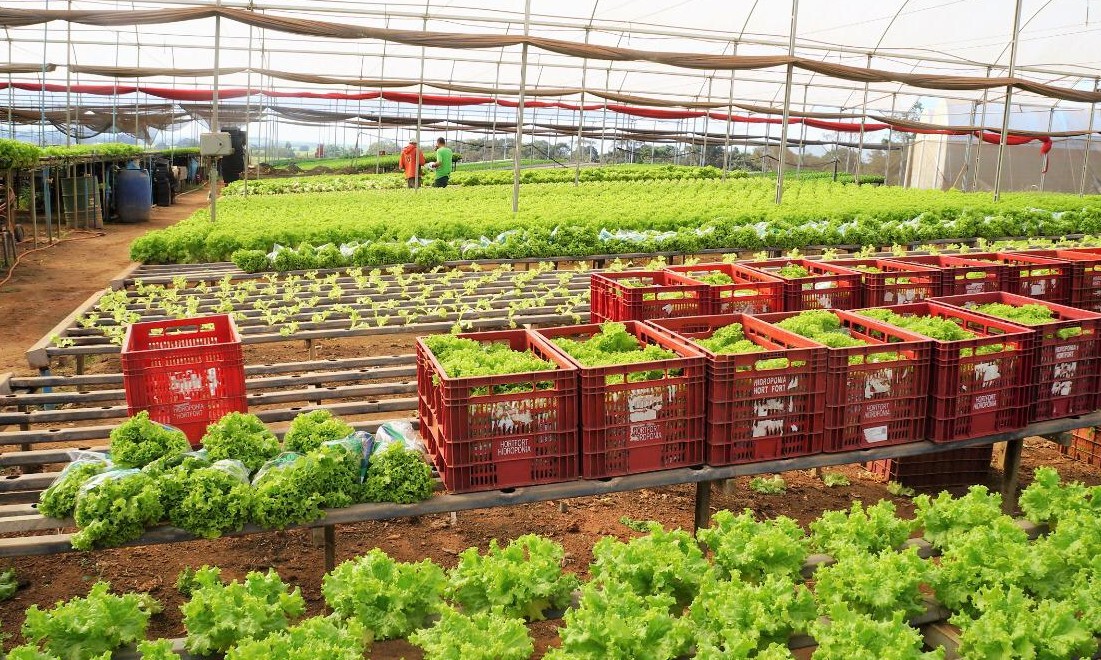 Itesp prioriza trabalho essencial dos produtores rurais da região de Franca
