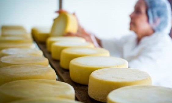 Serviço que mineiro gosta. Queijaria abre 4 vagas para degustador de queijos