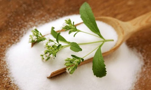 Nutrição: Adoçantes de stevia realmente são mais saudáveis para o dia a dia?